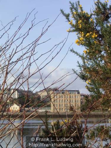 River Foyle, Derry